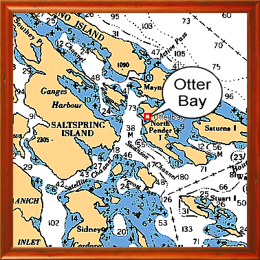 Otter Bay
